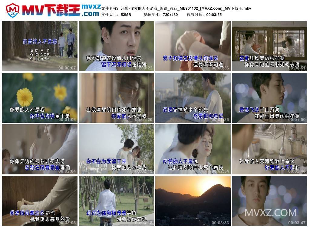 汪铂-你爱的人不是我_国语_流行_ME901132